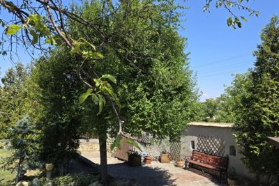 Wonderful Bulgarian Property in Gorsko Ablanovo (16)