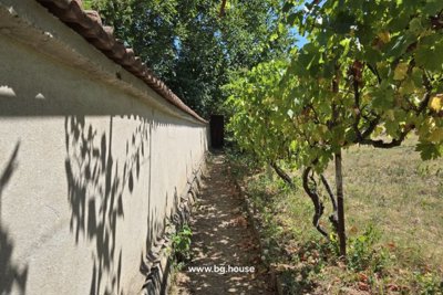 Bulgarian little Mansion for sale in village Zvezda (86)