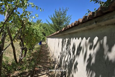 Bulgarian little Mansion for sale in village Zvezda (99)