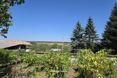 Bulgarian little Mansion for sale in village Zvezda (84)