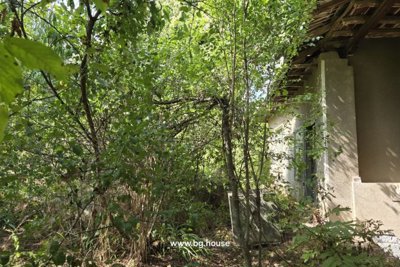 Bulgarian House for Sale in Village Lomtsi – 3135m² Land (12)
