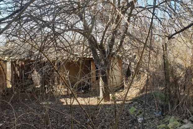Image No.3-1 Bed House for sale