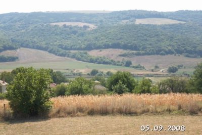 Property photo 14