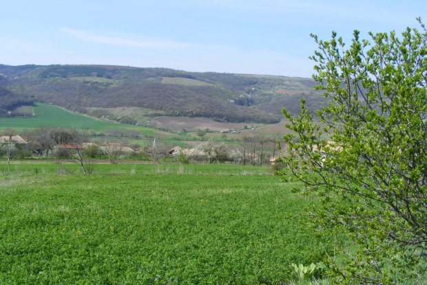 Image No.18-Property for sale