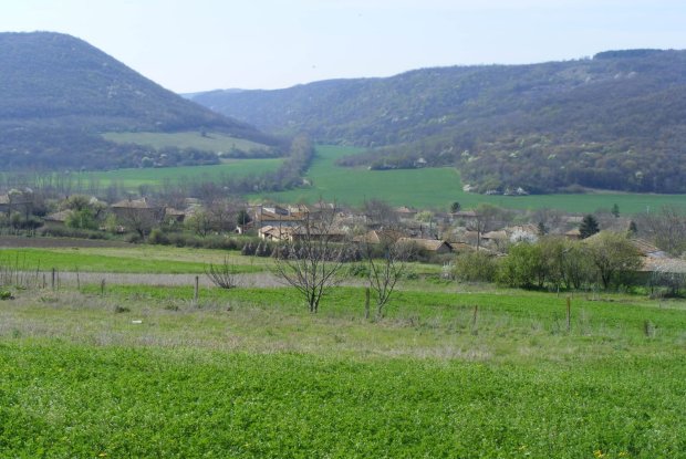 Image No.2-Property for sale
