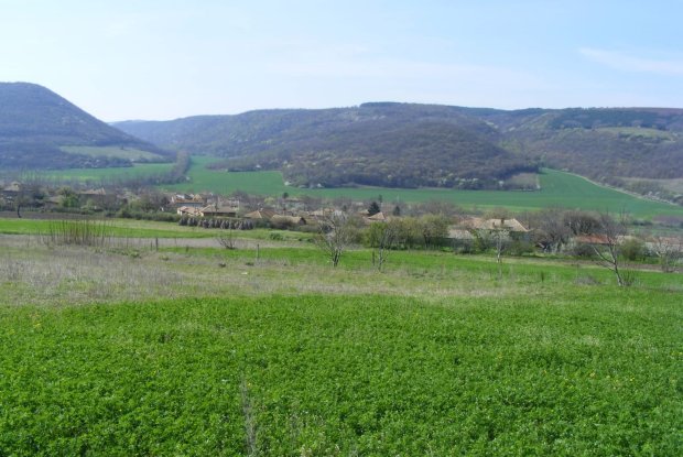 Image No.20-Property for sale