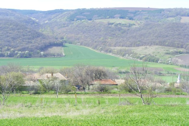 Image No.25-Property for sale