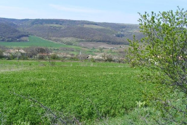 Image No.3-Property for sale