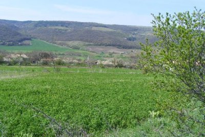 Building Land For Sale Zahari Stoyanovo 10 Building PLOTS (40)