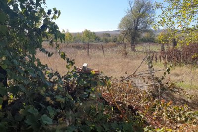 Cheap Bulgarian investment property Lom Cherkovna (17)