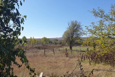 Cheap Bulgarian investment property Lom Cherkovna (18)