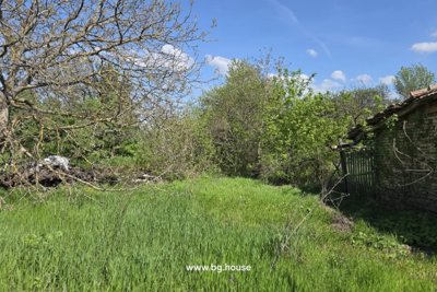 Bulgarian property for sale in village Goritsa (22)