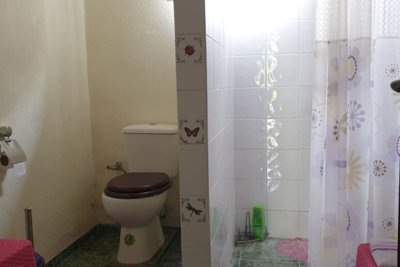 Cozy Bulgarian home for sale in lovely village Lomtsi (134)