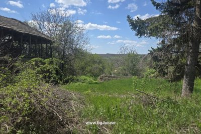 Beautiful Bulgarian house for sale in village Dolets (16) – Copy