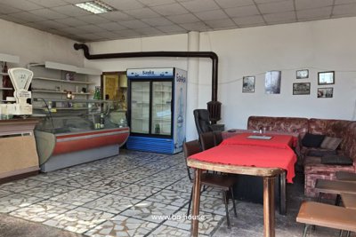 Bulgarian business complex for sale in village Goritsa (7)