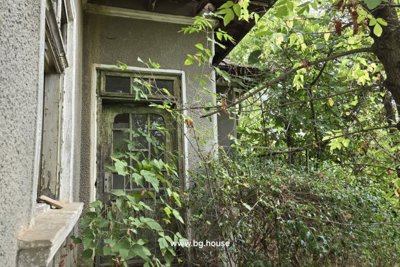 Rural Renovation Project for sale in village Lomtsi (52)