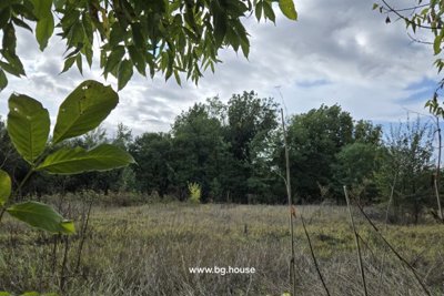 Rural Renovation Project for sale in village Lomtsi (89)