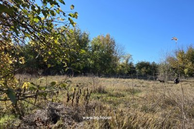 Rural Renovation Project for sale in village Lomtsi (101)