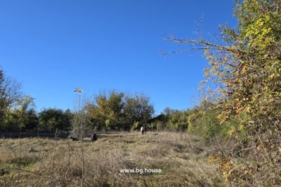 Rural Renovation Project for sale in village Lomtsi (102)