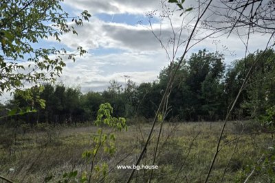 Rural Renovation Project for sale in village Lomtsi (48)