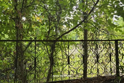 Rural Renovation Project for sale in village Lomtsi (86)
