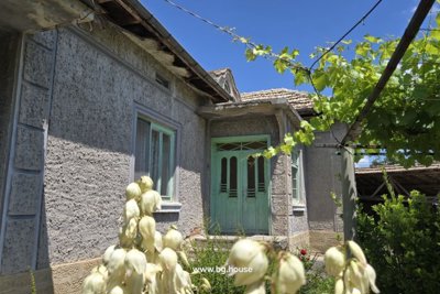 Bulgarian property for sale with views next to pine forest (29) – Copy – Copy