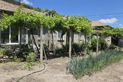 Bulgarian property for sale with views next to pine forest (25) – Copy – Copy