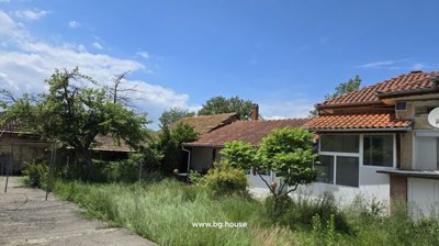View of garden with tall grass and trees alongside a concrete path next to the Bulgarian house.