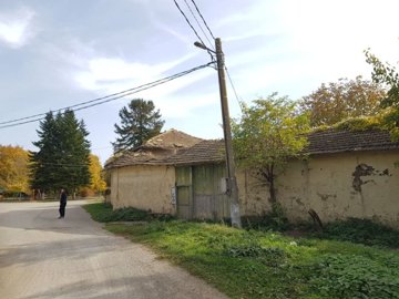 Long brick wall with green wooden doors and trees lining the roadside