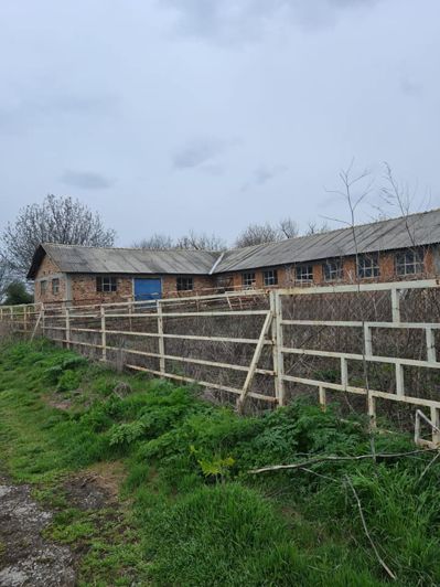 Image No.22-Ferme de 2 chambres à vendre à Palamartsa