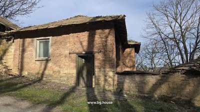 Front facade of a brick and stone house with an open wooden door and shadows of tree branches on the walls