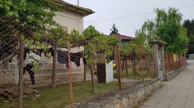 Front yard showing grapevine trellis supported by metal posts and a rusty metal fence enclosing the garden area.