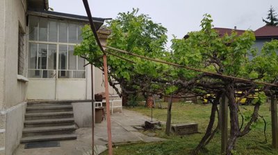 Side entrance to the house with concrete steps leading to a glassed porch and grapevine trellis in the garden.