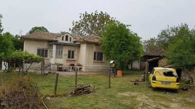 View of garden showing grapevine trellis and a neighboring house with red roof in the background.