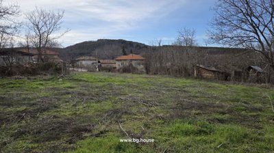 View of open grassy land with scattered trees and houses visible in the distance in a rural area.
