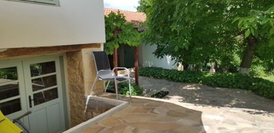Stone patio with single chair surrounded by green plants and shaded by trees