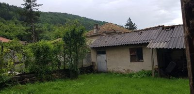 View of an outbuilding with corrugated roof next to a garden area with green grass and trees, enclosed by a stone wall and wire fence.