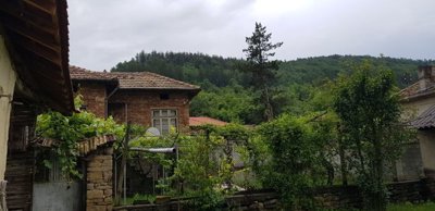 Green garden area with trees and wire fencing adjacent to a brick house, with forested hills in the background.