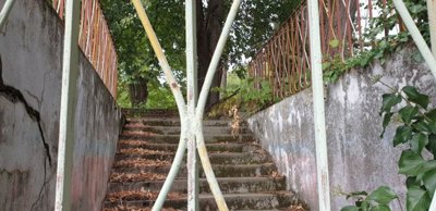 Concrete stairs outdoors covered with dry leaves and flanked by rusty metal railings, surrounded by trees and greenery.