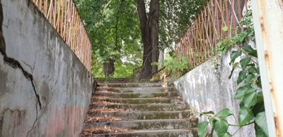 Concrete stairs outdoors with rusty metal railings on both sides, dry leaves on steps, and large trees overhead.