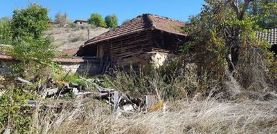 View of an old wooden outbuilding with a tiled roof surrounded by dry grass and trees