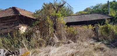 Garden area showing overgrown grass, trees, and a wooden outbuilding with tiled roof
