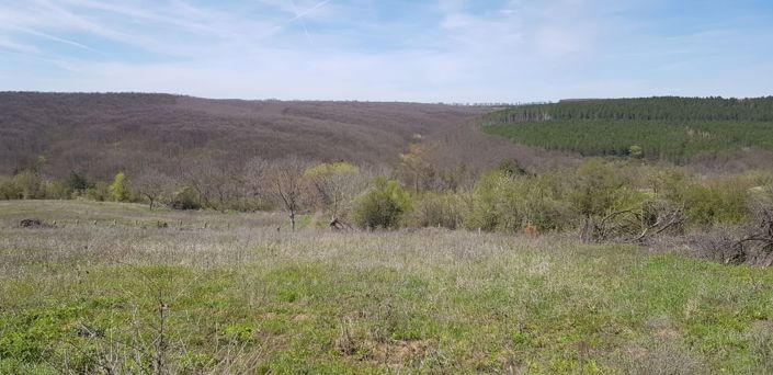 Image No.5-2 Bed Land for sale