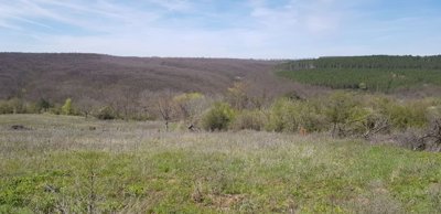 View across open grassy land with sparse trees and forested hills visible in the distance.
