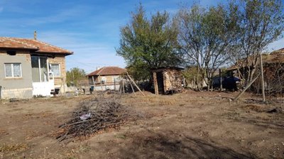Dry garden space with small brick outbuilding and trees near the house