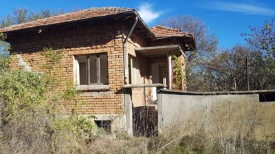 View of the brick house exterior showing tiled roof and small porch surrounded by overgrown vegetation