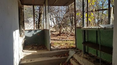 View of an enclosed porch or sunroom area featuring concrete steps, glass windows, and overgrown vegetation outside.