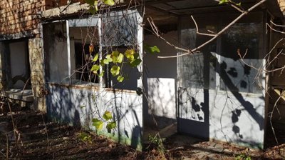 Outside view of an enclosed porch area with glass panels and plants growing around it.
