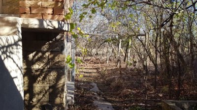 View of the garden area showing leafless trees and concrete structures adjacent to the house