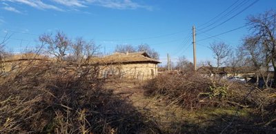 Open rural yard featuring dry vegetation, scattered branches, and old brick outbuildings under a clear blue sky.